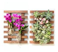 ShopLaLa Lot de 2 jardinières murales en Bois pour orchidées - Support Mural pour Plantes succulentes - Décoration Murale - Macetas Para Orquideas - 40 cm
