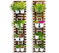 ShopLaLa Support Mural pour Plantes - Pots Suspendus pour intérieur et extérieur