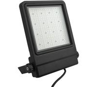 SHOWTEC Cedda 150W LED Floodlight Projecteur LED blanc brillant 150 W - Projecteurs d’extérieur