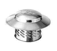 ShyLiae Acier Inoxydable Chapeau de cheminée pour amélioré Weatherproof, 4