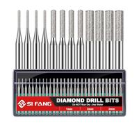 SI FANG Lot de 30 forets diamantés pour bijoux Dremel 1-3 mm tige 1/8 | Ensemble de fraises diamantées avec étui de rangement, convient aux outils rotatifs, perçage humide pour pierre