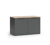 Sideboard Wido, 80x50cm avec 2 portes, Anthracite, Vicco 47671