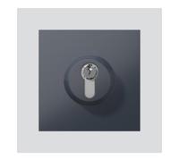 Module de fermeture gris anthracite - Module de commutation (connexion) pour station de porte SM 611-01 AG