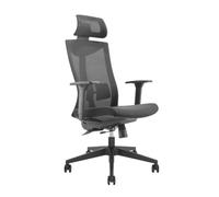 Fauteuil de bureau ergonomique - Noir