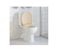 Siège de Toilette à Fermeture en Douceur Abattant WC Lunette Cuvette Salle de Bain Maison Restaurant Hôtel Magasin 145821