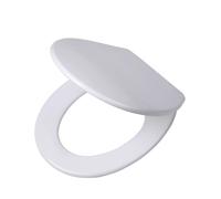 Siège de toilette Tiger WC-Sitz Boston, matériau Duroplast, couleur blanche/acier inoxydable brossé, référence 252960946