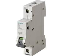 Siemens 5SL61067 5SL6106-7 Disjoncteur 1 pôle 6 A 230 V, 400 V