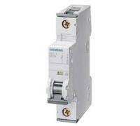 Siemens 5SY41108 5SY4110-8 Disjoncteur 10 A 230 V, 400 V