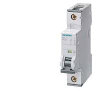 Siemens 5SY51067 5SY5106-7 Disjoncteur 6 A 230 V, 400 V