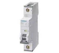 Disjoncteur Siemens 5SY6 - 5SY61027