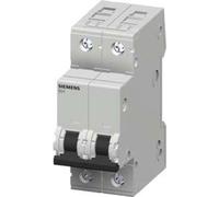 Siemens Leitungsschutzschalter 2 A 2-polig C (5SY4202-7)
