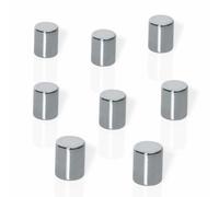 Sigel Aimant en néodyme B3103 cylindrique 8 x 10 mm nickelé – Lot de 8