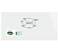 Sigel B1700 Tableau magnétique en verre 240x120 Tableau blanc magnétique Tableau Memoboard