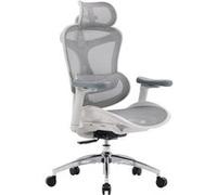Chaise de bureau ergonomique SIHOO Doro C300 avec accoudoirs 3D, soutien lombaire auto-ajustable et dossier en maille respirante