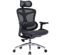 SIHOO C300 Fauteuil de Bureau Ergonomique, Accoudoirs 3D ultra-doux, Soutien Lombaire Dynamique, Dossier Réglable, Noir Noir