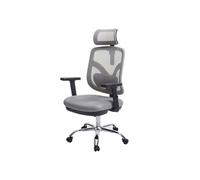 Sihoo chaise de bureau chaise de bureau, ergonomique, soutien lombaire réglable et accoudoir ~ gris
