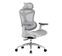 SIHOO Doro C300 Chaise Bureau Ergonomique, Support Lombaire Dynamique, Gris | Accoudoirs 3D Ultra Doux, Dossier Inclinable et Réglable (Hauteur), Siège Pivotant, Grande Assise, Adapté au Télétravail