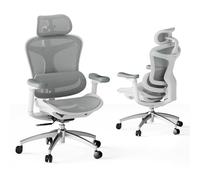 SIHOO Doro C300 Chaise de Bureau Ergonomique, Accoudoirs 3D Ultra Doux, Support Lombaire Dynamique, Dossier Réglable pour Bureau à Domicile (Grigio)