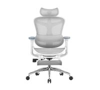SIHOO Doro C300 Chaise de Bureau Ergonomique, avec Soutien Lombaire Dynamique, accoudoirs 3D et Dossier réglable, Repose-Pieds pour Un Confort accru, Grigio(150 kg)