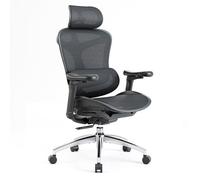 SIHOO Doro C300 Chaise de Bureau Ergonomique avec Soutien Lombaire Dynamique,Accoudoirs et Dossier Réglables 3D Noir