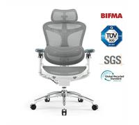 Chaise de bureau ergonomique SIHOO Doro C300 Pro - Support lombaire auto-ajustable, Accoudoirs 5D, Dossier en Maille - Blanc