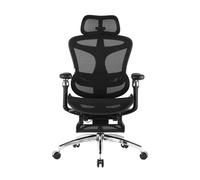 Sihoo Doro C300 Pro - Chaise de bureau ergonomique avec accoudoirs 6D ultra-doux, soutien lombaire dynamique, réglage de la profondeur du siège et dossier réglable, pour bureau à domicile, avec repose