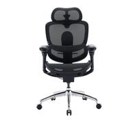 SIHOO Doro C300 Pro V2 Fauteuil de bureau ergonomique sans repose-pieds, soutien adaptatif pour tout le corps(noir)
