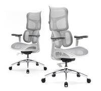SIHOO Doro S100 Chaise de Bureau Ergonomique, avec Un Soutien Lombaire Dynamique Double, Dossier réglable sur 5 Niveaux, Blanc