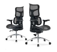 SIHOO Doro S100 Chaise de Bureau Ergonomique, avec Un Soutien Lombaire Dynamique Double, Dossier réglable sur 5 Niveaux, Noir