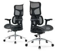 SIHOO Chaise ergonomique Doro S100 – double soutien lombaire, accoudoirs 4D, 5x réglable – Noir