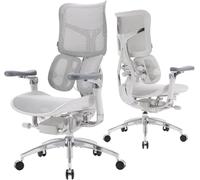 SIHOO Doro S300 Chaise de Bureau, Soutien Corporel Global Harmonisé, Gris | Accoudoirs 6D, Double Support Lombaire Dynamique, Assise Suspendue, Tension Inclinaison Réglable, Maille et Velours Italiens