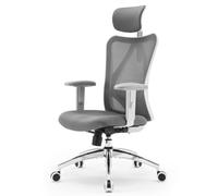 SIHOO M18 Chaise de Bureau Ergonomique, Chaise de Bureau d'ordinateur avec Appui-tête et Support Lombaire réglables, Direction pivotante à Haut Dossier Domicile (Gris foncé)