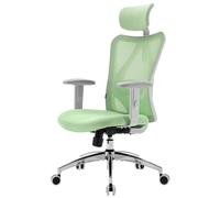 SIHOO M18 Chaise de bureau ergonomique, chaise de bureau d'ordinateur avec appui-tête et support lombaire réglables, chaise de direction pivotante à haut dossier pour le bureau à domicile (Vert Clair)
