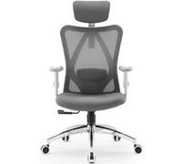 SIHOO M18 Fauteuil de Bureau Ergonomique, soutien lombaire, accoudoirs réglables, 150kg max. Gris Gris