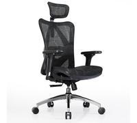 SIHOO M57 Chaise de Bureau Ergonomique avec Soutien Lombaire réglable, Chaise de Bureau en Maille avec accoudoirs 3D et Appui-tête 2D, Chaise d'ordinateur Haute Respirante (Noir)