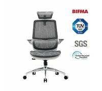 SIHOO Chaise de bureau ergonomique M59AS – Accoudoirs 3D réglables & rabattables, double dossier – Gris