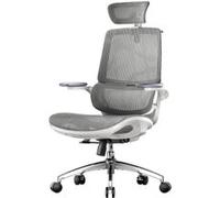 SIHOO M59AS Chaise de Bureau Ergonomique, avec Accoudoirs 3D rabattable, Double Soutien Lombaire Dynamique Adaptatif, Noir