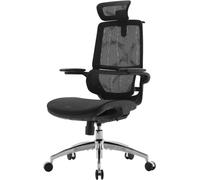 SIHOO M59S Ergonomische bureaustoel, schrijftafelstoel met 3D-gecoördineerde opklapbare armleuningen, computerstoel met dubbele rugconstructie en adaptieve dynamische lendensteun(Zwart)