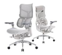 SIHOO S300 Chaise de Bureau Ergonomique,Double Support Lombaire Dynamique,Accoudoirs Coordonnés 6D,Maille de Velours Italien Blanc
