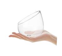 SILENRADAWN Bouteille Micro-Paysage en Verre Borosilicaté Épais, Décoration Créative pour Plantes Succulentes, Résistant aux Chocs, pour Chambre et Extérieur