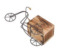 SILENRADAWN Pot de Fleurs Vintage en Fer Support en Bois, Décoration Unique pour Étagères et Manteaux, Modèle de Vélo Ancien pour Rangement et Embellissement