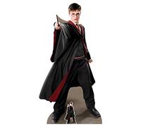 Silhouette en carton Harry Potter - Quidditch Captain - grandeur nature - Dimensions : 88 x 170 cm
