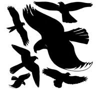 Avery Zweckform Effaroucheur d'oiseaux 4485 Feuille de silhouettes d'oiseaux autocollantes plastifiées 14,5 x 4,5 mm Noir/transparent Import