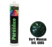 Silicone Parasilico prestige colour DL Chemicals-Vert mousse RAL 6005