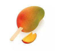silikomart Planet Moule en silicone professionnel avec 15 cavités pour mousse, semi-froides et entremets modernes, silicone platine, fabriqué en Italie