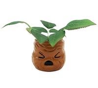 Silver Buffalo Harry Potter Mandrake Face 6 Pouces Ceramic Planter with Faux Plant