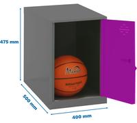 Simonrack Vestiaire SIMONLOCKER DISM anthracite, rose 8425437117701, 1 casier 40,0 x 50,0 x 47,5 cm