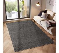 Tapis Salon Moderne - Amandine - Anthracite - 160 x 230 cm - 100% Polypropylène - Simpex
