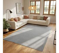 SIMPEX Tapis à Poils Ras, Unicolor - Monochrome, Tapis Couleur Argent, 200 x 290 cm, Style Moderne, Salon