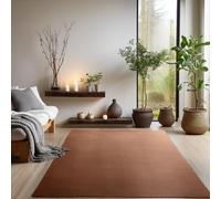 SIMPEX Tapis Lavable à Poils Courts 120x170 cm Marron Moderne